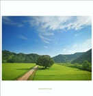 dailyPhoto9